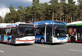 E-Busse vor einem Waldstück.
